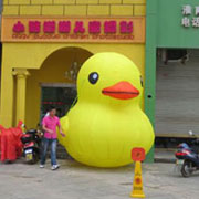 Yellow Duck